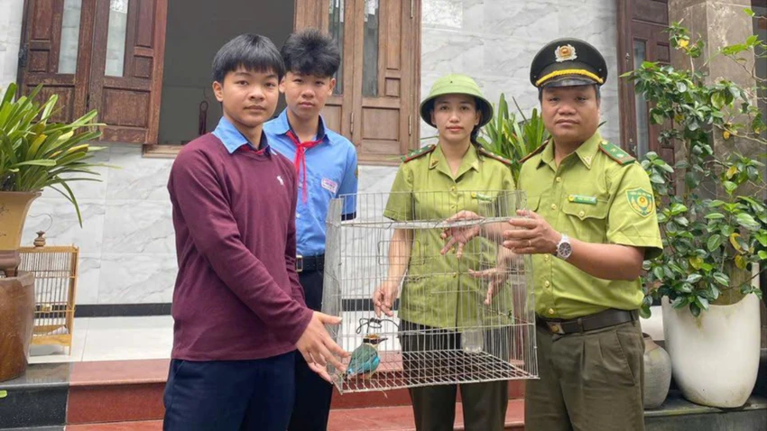 nam-sinh-o-hue-tu-nguyen-giao-nop-chim-duoi-cut-bung-do-quy-hiem.jpg