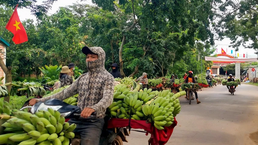 sau-vu-xe-tai-tong-3-nguoi-chet-hang-tram-nong-dan-duoc-dua-den-diem-ban-chuoi-an-toan (1).jpeg