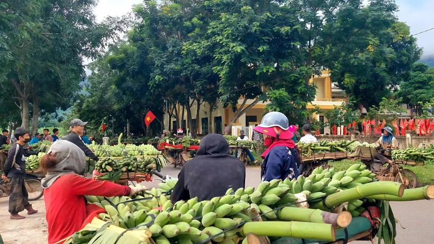sau-vu-xe-tai-tong-3-nguoi-chet-hang-tram-nong-dan-duoc-dua-den-diem-ban-chuoi-an-toan (2).jpeg