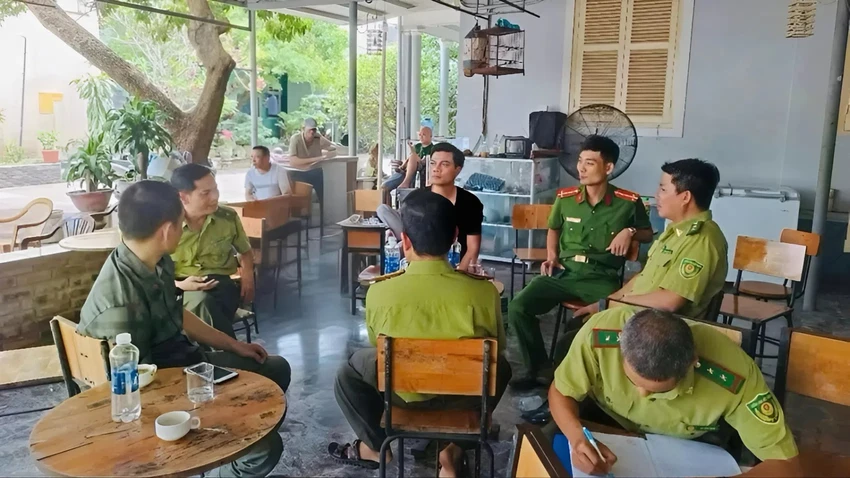 mang-chim-di-ca-phe-phai-chung-minh-nguon-goc-tai-hue-sau-mot-nam-siet-ra-sao (2).jpeg