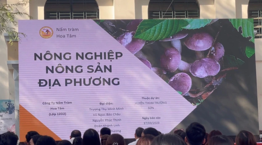 Dự án Nấm Tràm Hoa Tâm của lớp 12D2. Ảnh: THUỶ TÂM Dự án Nấm Tràm Hoa Tâm của lớp 12D2. Ảnh: THUỶ TÂM