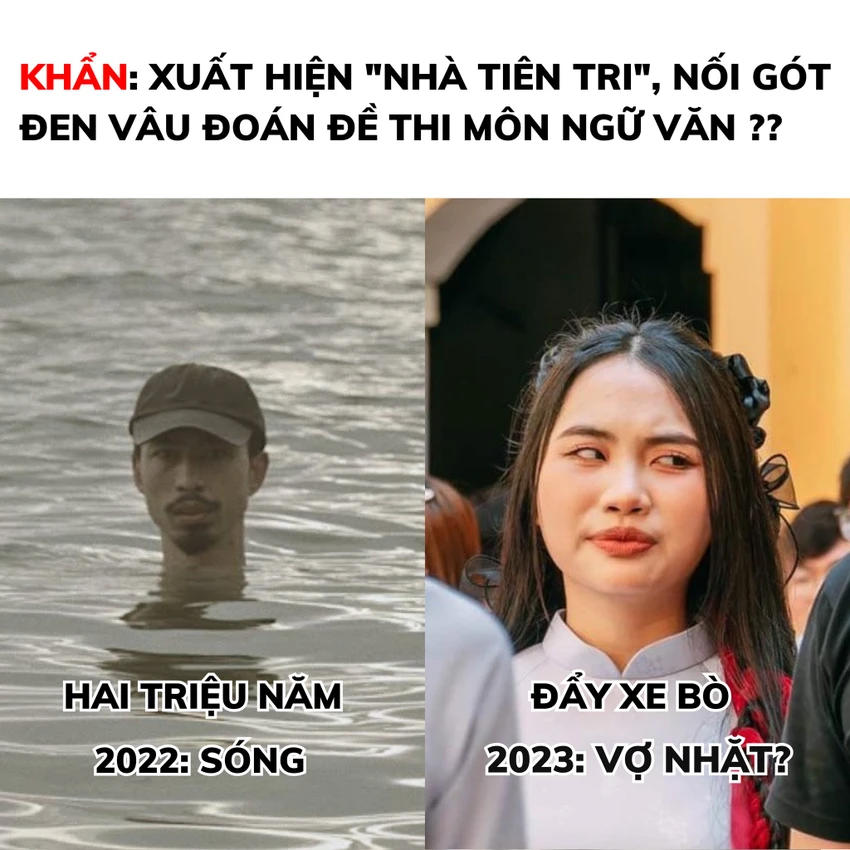 Phương Mỹ Chi được cho là nối gót Đen vâu trong việc đoán đề thi. Ảnh: MXH