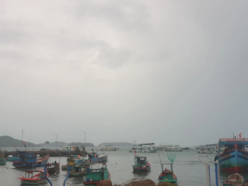 Xã đảo An Sơn (tỉnh Kiên Giang) bị ảnh hưởng bởi mưa bão. Ảnh: THĂNG BÌNH Xã đảo An Sơn (tỉnh Kiên Giang) bị ảnh hưởng bởi mưa bão. Ảnh: THĂNG BÌNH