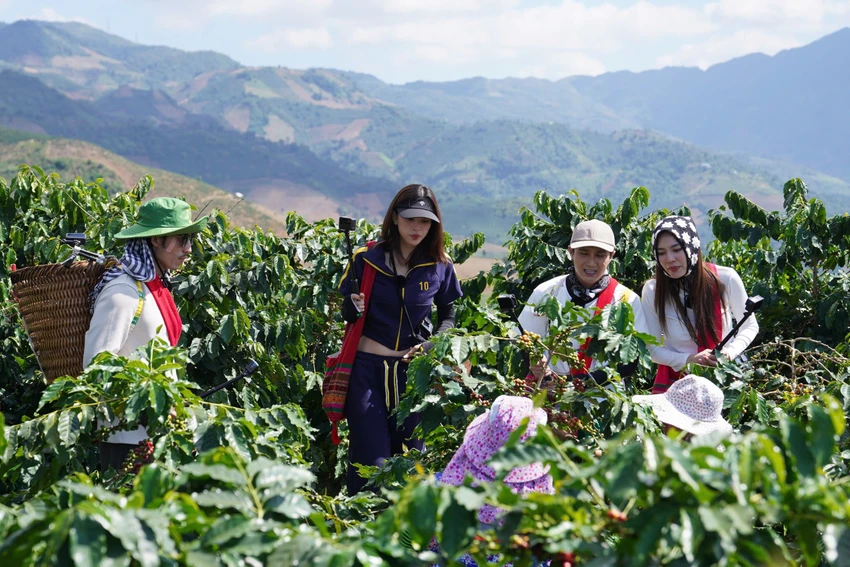 biet-doi-sieu-sao.jpg