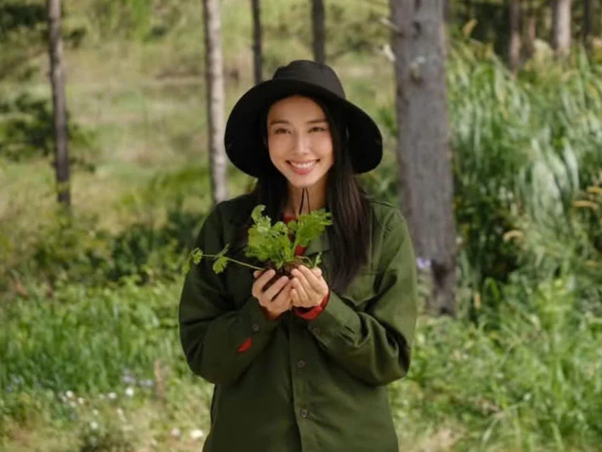 hoa-hau-thuy-tien7.jpg