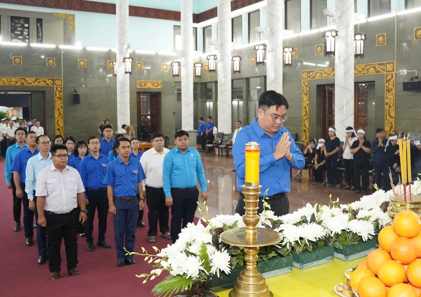 phan-luong-cam15.jpg