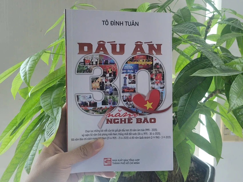 to-dinh-tuan3.jpg