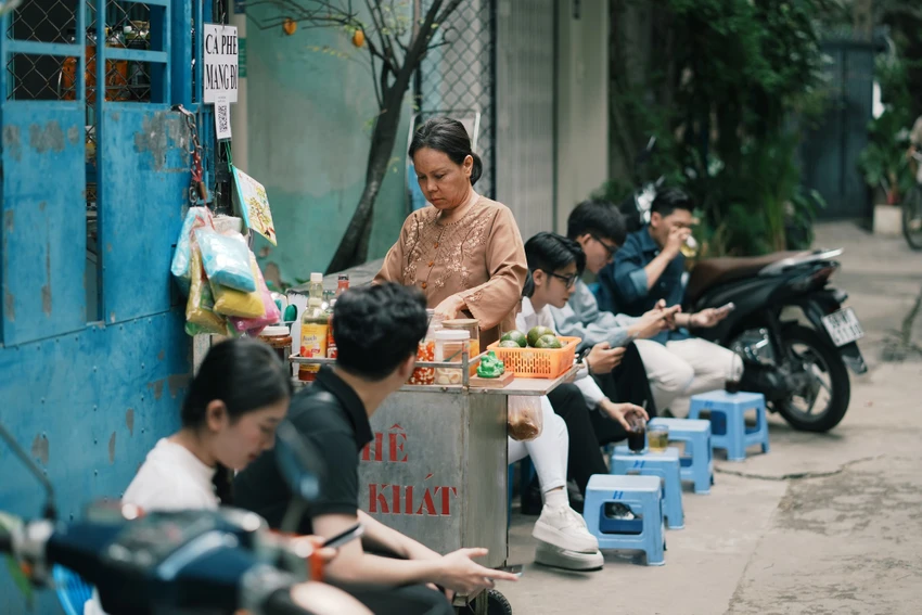 cuc-vang-cua-ngoai7.JPG
