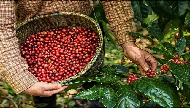 Xuất khẩu hàng hóa của Việt Nam sang Hoa Kỳ tháng 1-2024 tăng đột biến 55%