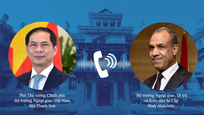 Phó Thủ tướng, Bộ trưởng Ngoại giao Bùi Thanh Sơn điện đàm với Bộ trưởng Ngoại giao Ai Cập Badr Abdelatty