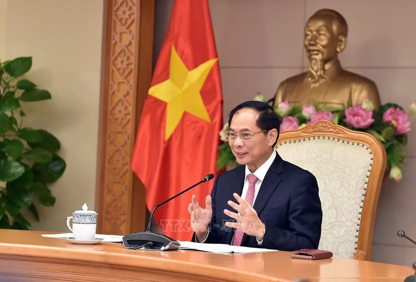 Phó Thủ tướng, Bộ trưởng Bùi Thanh Sơn điện đàm với Bộ trưởng Ngoại giao Nhật Bản