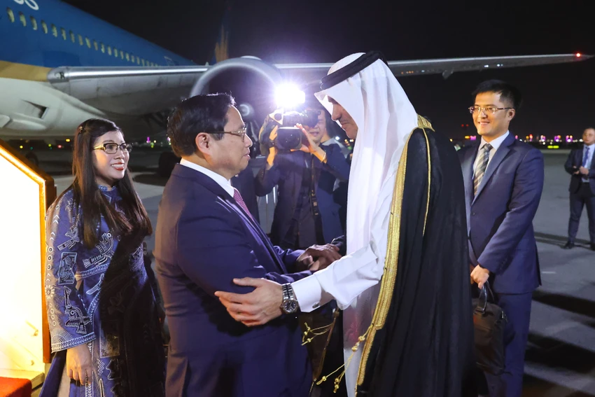 3110Qatar.jpg