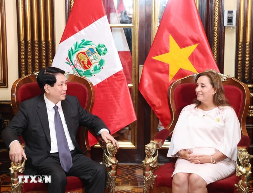 Chủ tịch nước khẳng định thúc đẩy hơn nữa quan hệ hữu nghị và hợp tác nhiều mặt giữa Việt Nam và Peru