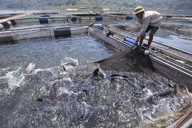 Tăng quy mô chương trình cho vay nông, lâm, thủy sản lên trên 100.000 tỉ đồng