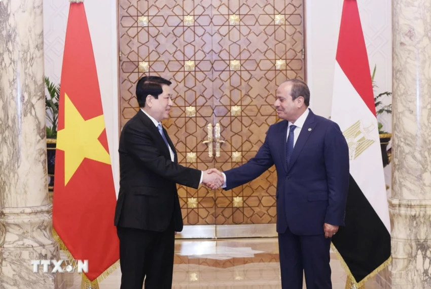 Việt Nam và Ai Cập nhất trí nâng cấp quan hệ lên Đối tác Toàn diện