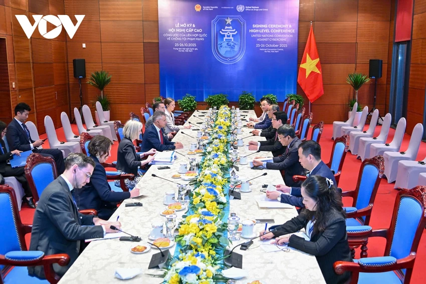2510CTN3.jpg