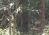 Chánh án tòa huyện chết trên rẫy do nghi uống thuốc bảo vệ thực vật tự tử 
