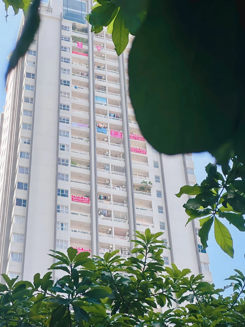 thông tin sai sự thật