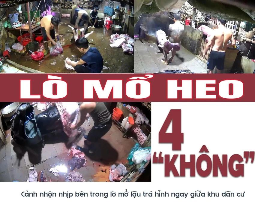 thi-heo-ban.jpg
