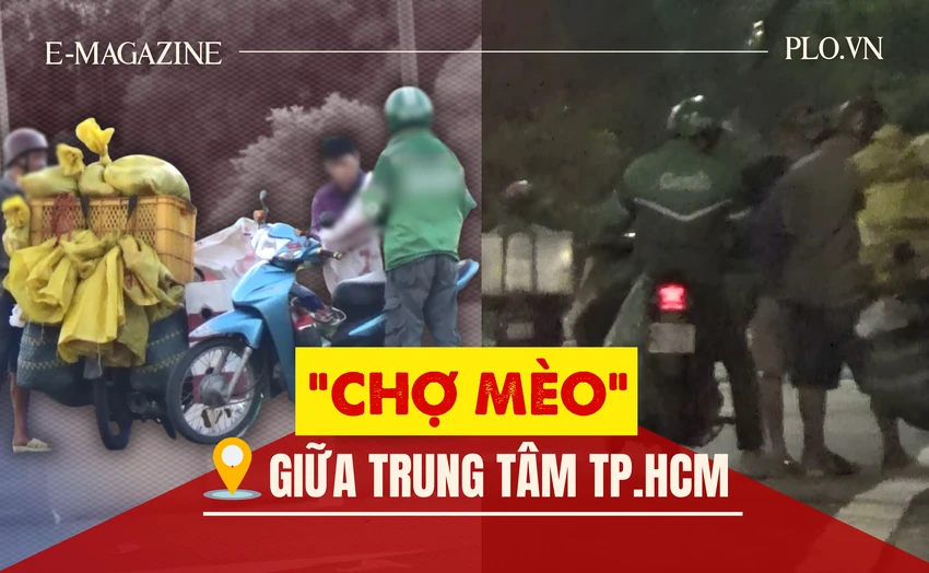 meo-tac-1-8572-4048.png