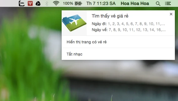Săn vé máy bay giá rẻ trên mạng ảnh 4