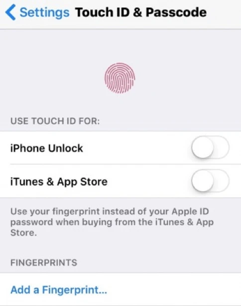 Những việc cần làm khi nâng cấp iPhone hoặc iPad ảnh 4