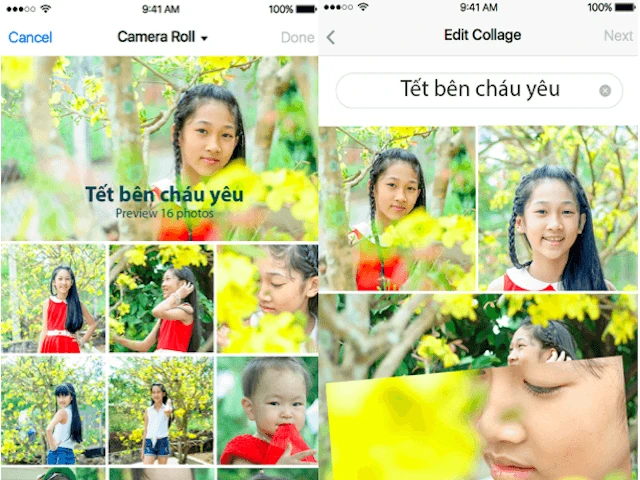 Mang hương sắc ngày xuân lên Facebook (phần 1) ảnh 2