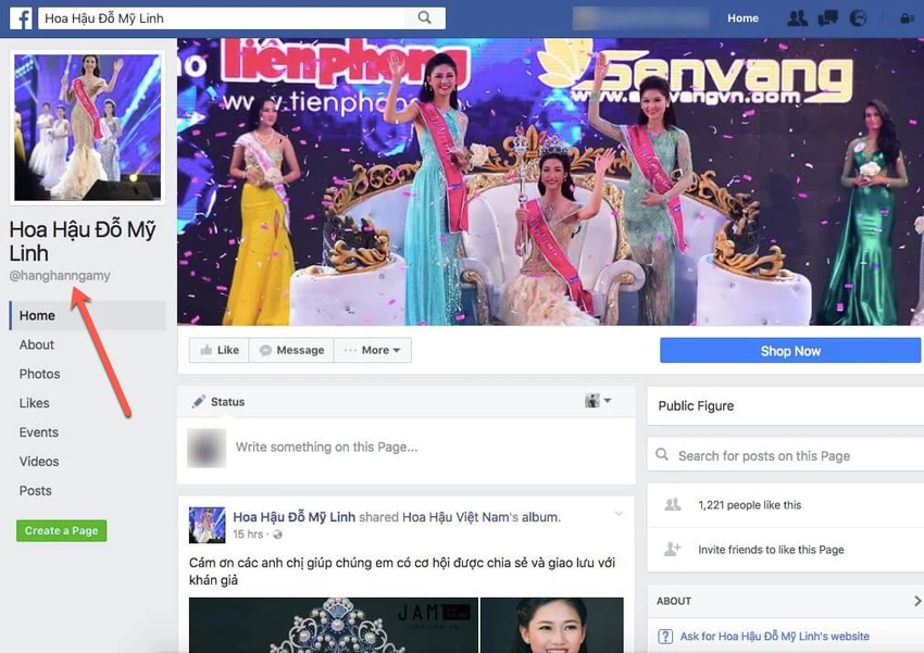 Xuất hiện nhiều fanpage giả mạo Hoa hậu Đỗ Mỹ Linh ảnh 2 fanpage giả mạo