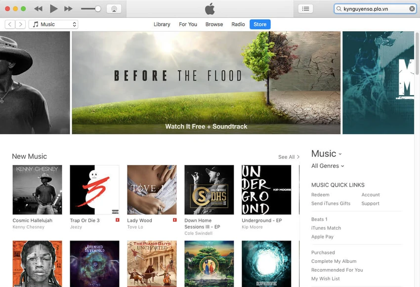 Apple vá lỗ hổng bảo mật nghiêm trọng trên iCloud ảnh 2 itunes