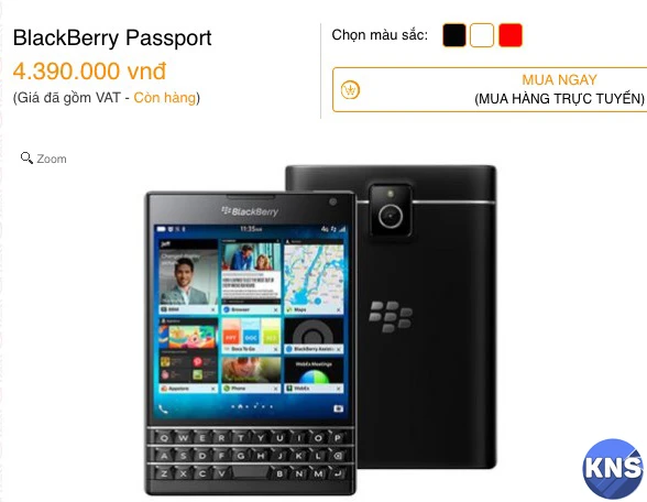 blackberry 