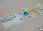 Cách kiểm tra giấy phép lái xe là thật hay giả ngay tại nhà