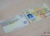 Cách kiểm tra giấy phép lái xe là thật hay giả ngay tại nhà