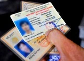 Hướng dẫn chi tiết cách đổi giấy phép lái xe qua mạng