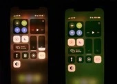 iPhone 11, 11 Pro và 11 Pro Max bị lỗi màn hình xanh? 