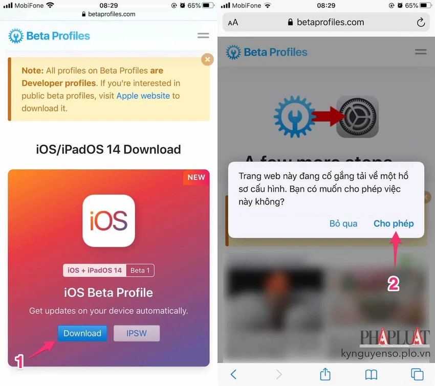 profile-ios-14-beta