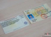 Cách kiểm tra giấy phép lái xe là thật hay giả bằng điện thoại
