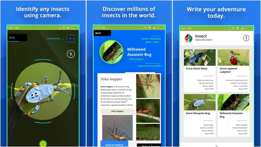 Insect-Identifier