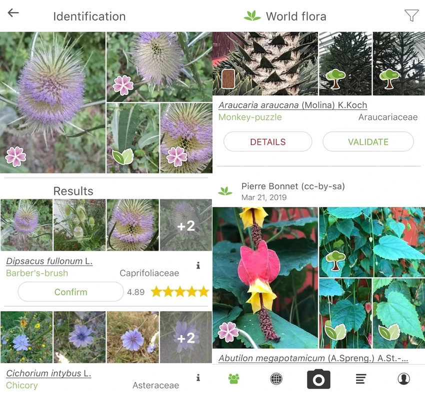 plantnet