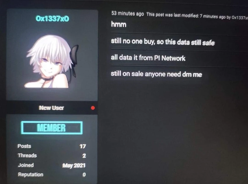 pi-network