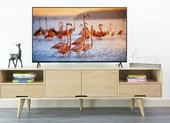 3 mẫu tivi màn hình lớn giá chưa đến 6 triệu đồng