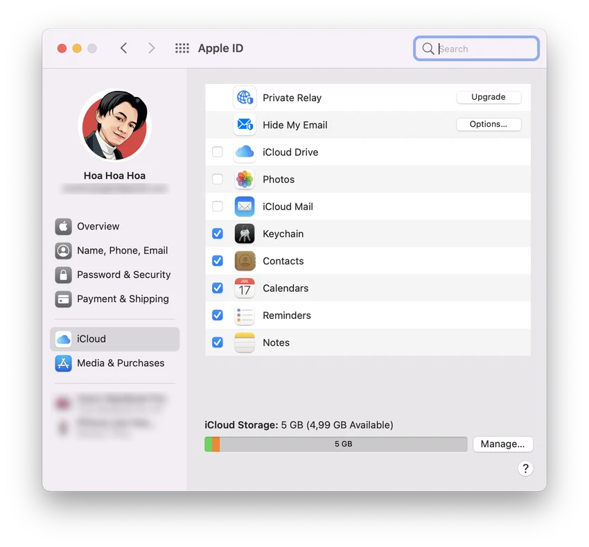 private-relay-macos