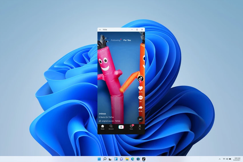 windows-11