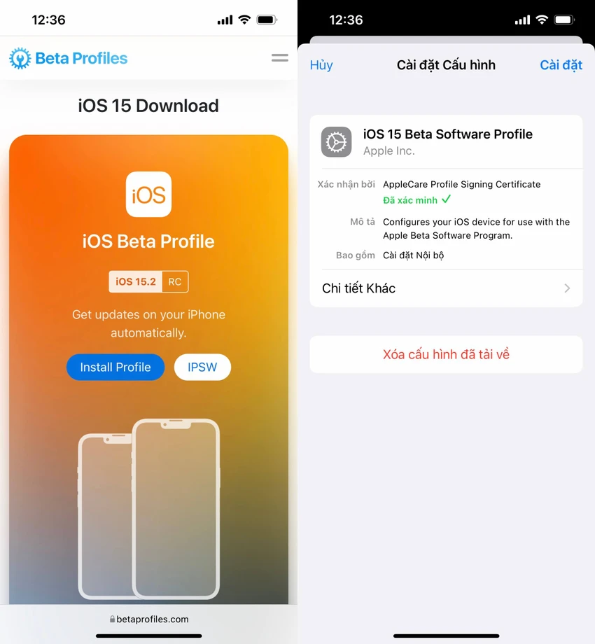 cai-dat-profile-beta-ios