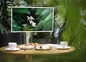 Trợ thủ đắc lực không thể thiếu khi làm việc và giải trí tại nhà