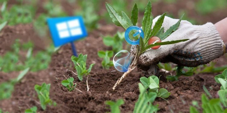 phan-mem-windows