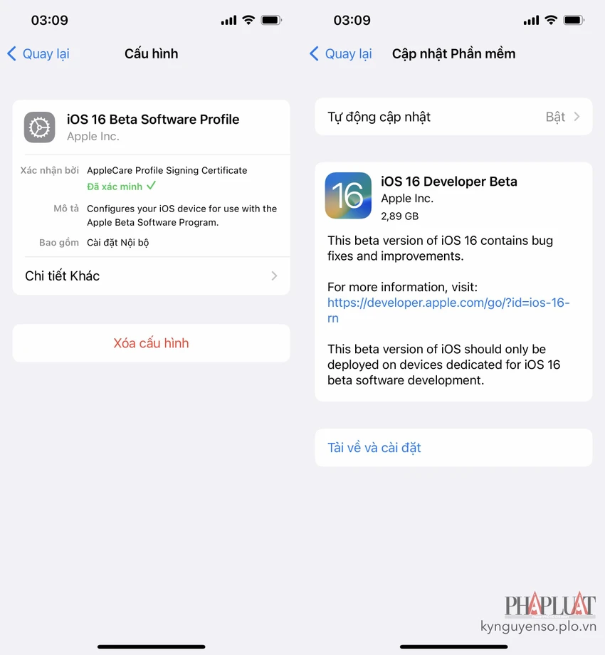 cai-dat-ios-16-beta cai-dat-ios-16-beta
