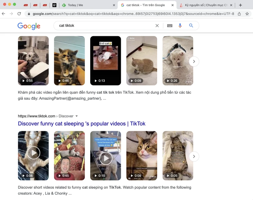 tim-kiem-video-tren-google Google đã lập chỉ mục video trên TikTok và Instagram. Ảnh: TIỂU MINH