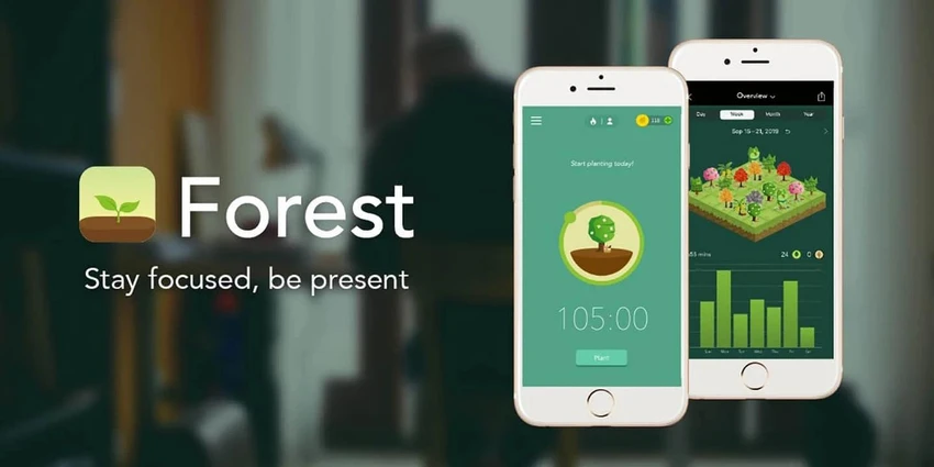 Forest Forest