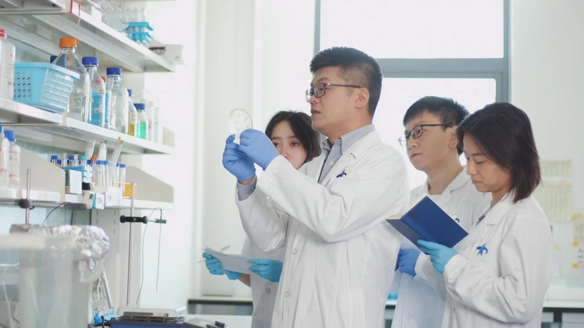 phat-trien-thuoc-nho-ai Giáo sư Liu Bing thực hiện nghiên cứu cùng đội nghiên cứu.