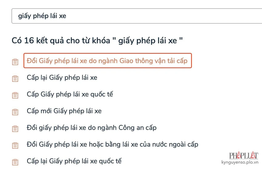 Chọn dịch vụ đổi giấy phép lái xe tương ứng. Ảnh: MINH HOÀNG